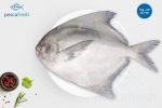 Pomfret Jumbo Skinless fillets  500 g