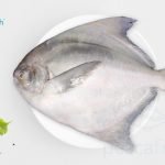Pomfret Jumbo Skinless fillets  500 g